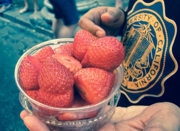 Prateek Bhatia having fresh strawberries
