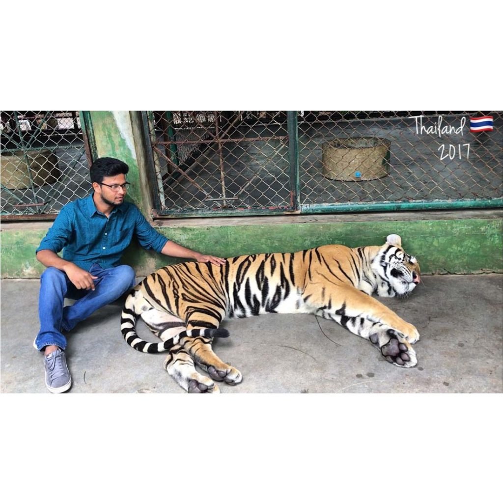 Tiger Kingdom, Phuket